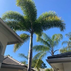 Meet your Posher, Teresa